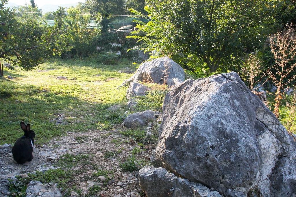 Penzion Agrotourism Matusko Neum Exteriér fotografie